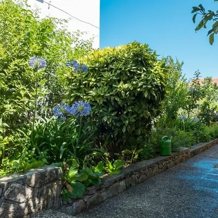 Apartments Saga - Garden And Grill Mali Lošinj