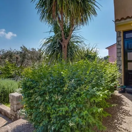Apartments Saga - Garden And Grill